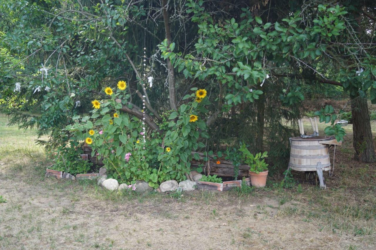 Ferienwohnung Rehagen Sued Am Mellensee Luaran gambar