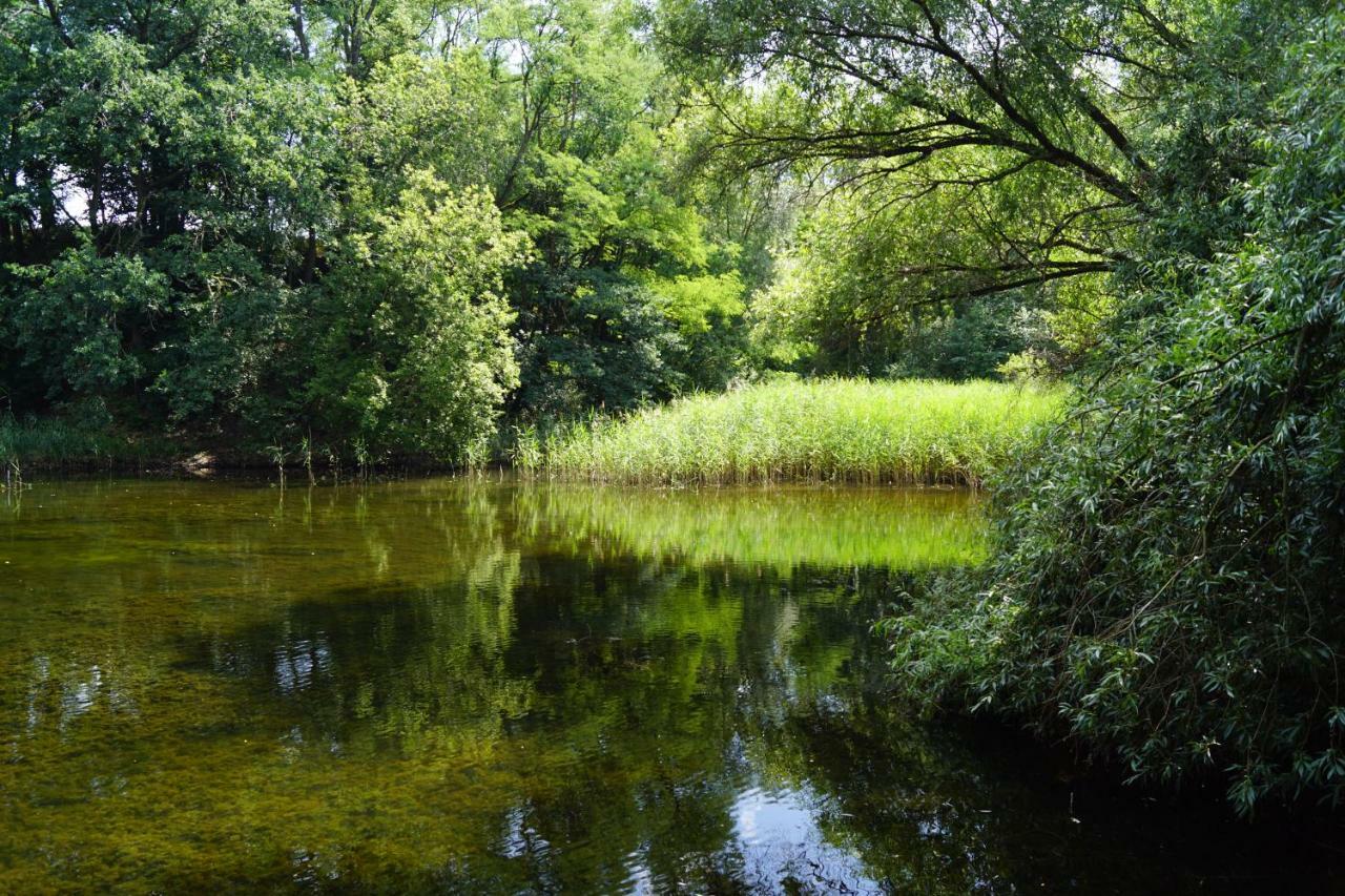 Ferienwohnung Rehagen Sued Am Mellensee Luaran gambar